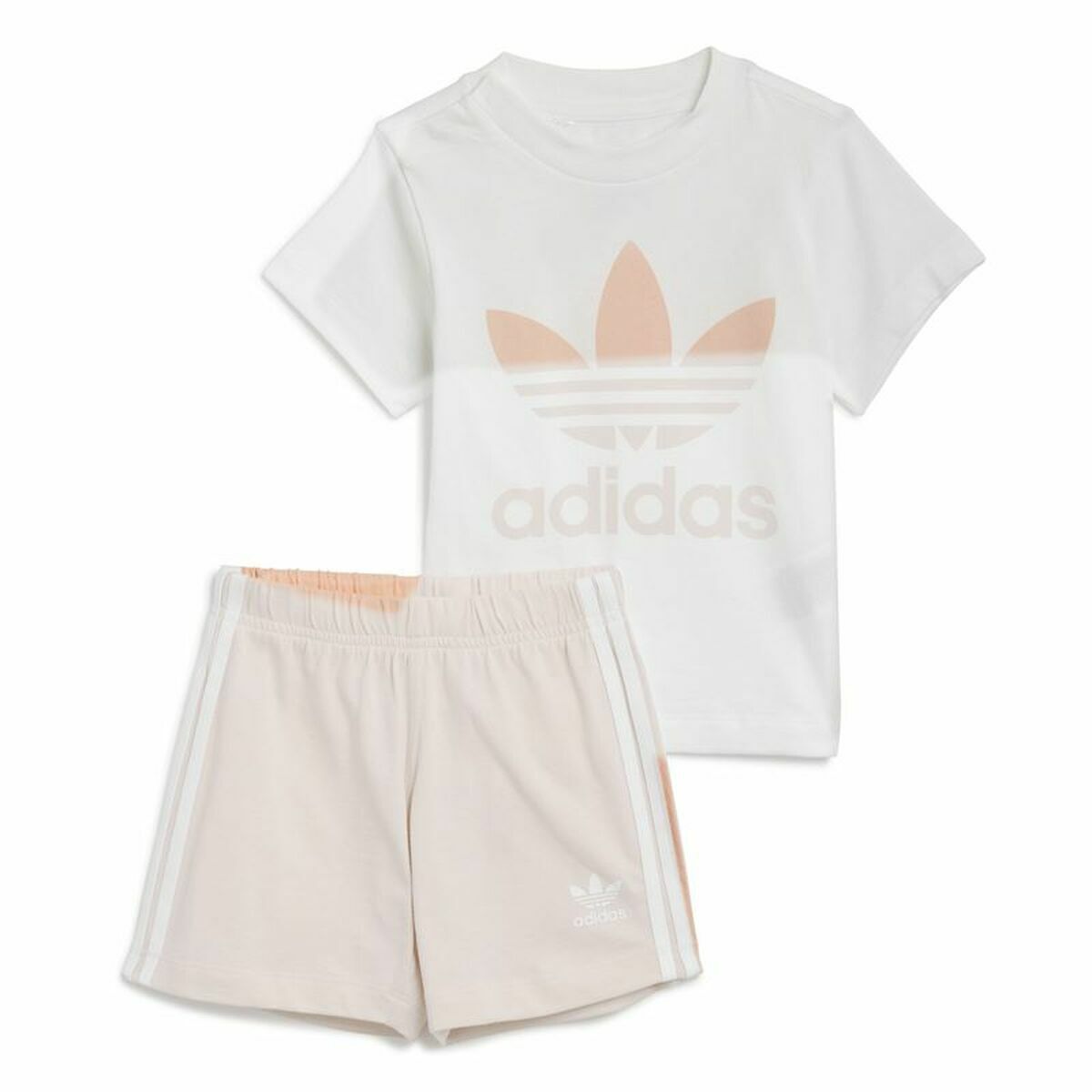 collection-image
